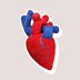 Soft toy Anatomical Heart