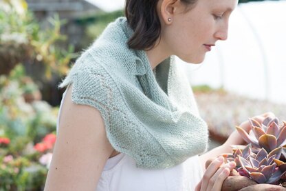 Tulip Fields Shawlette