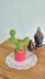 Prickly pear cactus