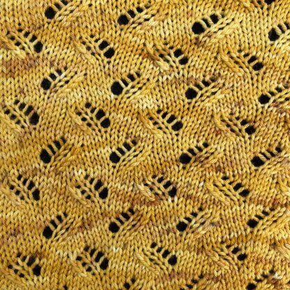 The Beekeeper Shawl