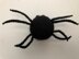 Chubby Spider