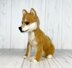 Shiba Inu Dog