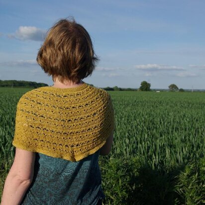 Eldorado Shawl