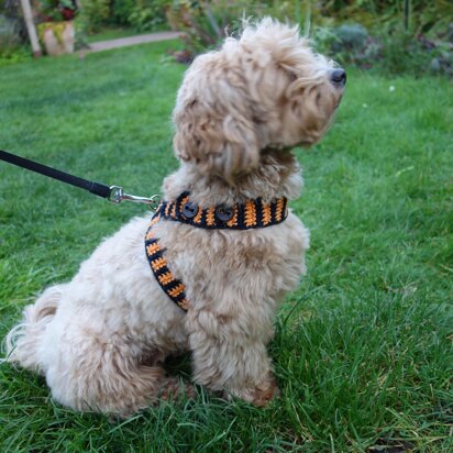 Halloween Dog Harness