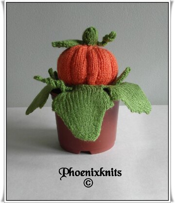 Sweet Halloween Pumpkin - NOT!