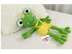 Frog Ragdoll