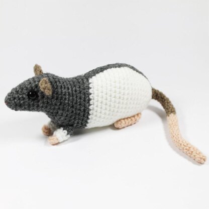 Fancy rats