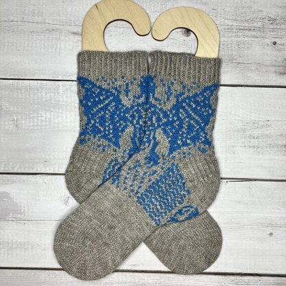 Dragonflight Socks