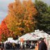 18th Annual Rhinebeck Road Trip - Fall 2025