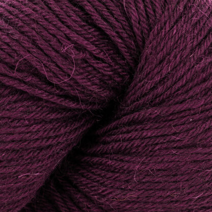 Hollyberry (230)