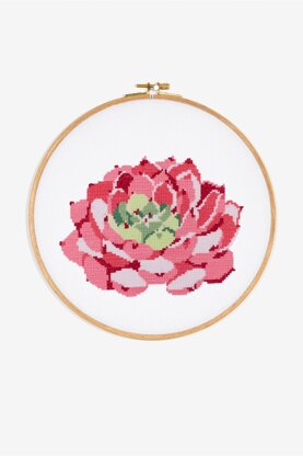 Pink Echeveria Succulent in DMC - PAT0560 - Downloadable PDF