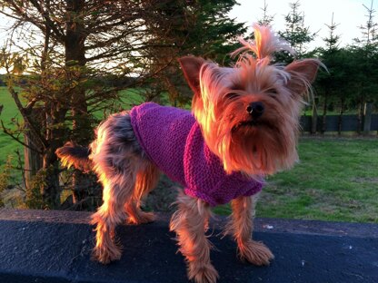 Cute Dog Sweater (4 sizes)