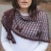 Filet à Papillons Shawl