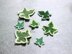 Variegated ivy leaves