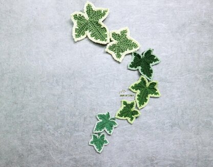 Variegated ivy leaves