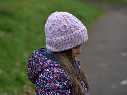 Chainring hat