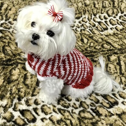 Peppermint Puppy Dog Sweater - knitting pattern