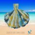 Seashell Towels