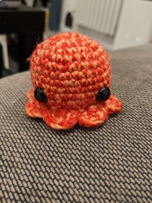 Cute Baby Octopus