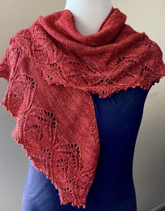 Zinderella Shawl.