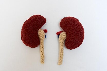 Kidney Amigurumi