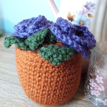 Pot of Poppies