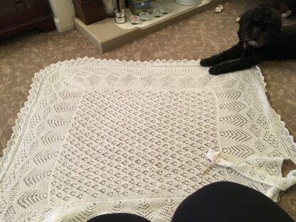 Lace shawl