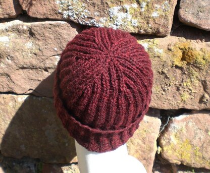 Basic Brioche Hat