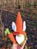 Gnome carrot