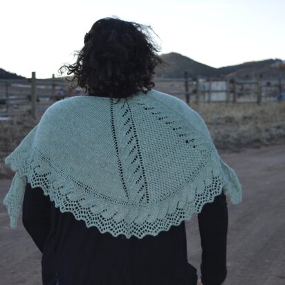 Connie's Lane Shawlette