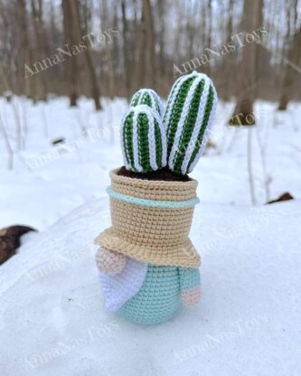 Gnome-cactus in a pot 3