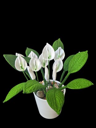 Crochet Peace Lily flowers pattern