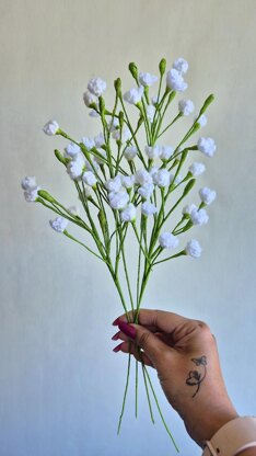Baby's breath gypsophila