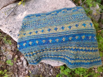 Steps Cowl