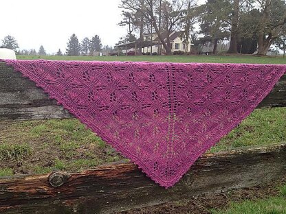 Intriguing Shawl