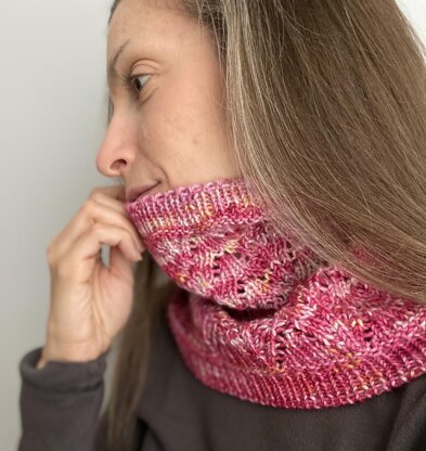 Echinacea Cowl