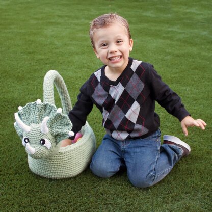 Triceratops Dinosaur Basket