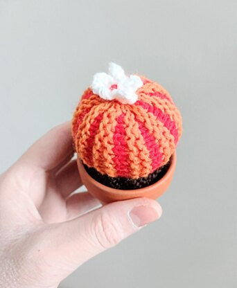 Stripy Ball Cacti