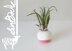 Geometric Air Planters (2015007)