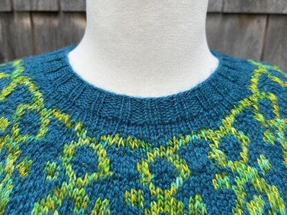 Isabella's Nasturtiums Pullover