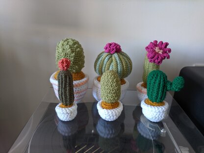 Cacti