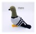 Pigeon Crochet Pattern