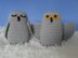 Snowy Owls