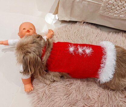 Santa dog coat