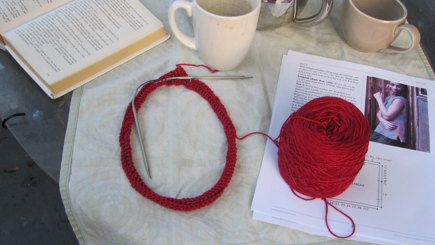 Lobelia Cardinalis #7