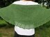 Garden Trellis Shawl