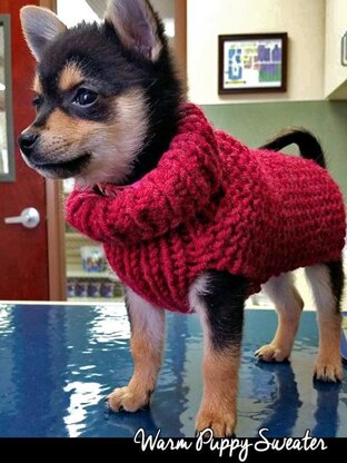 Warm Puppy Sweater