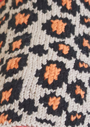 Debbie Bliss Leopard Pooch PDF