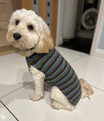 City Stripes Dog Sweater in Lion Brand Wool Ease Thick Quick 80933AD Knitting Patterns LoveCrafts