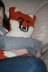 A Foxy Pillow